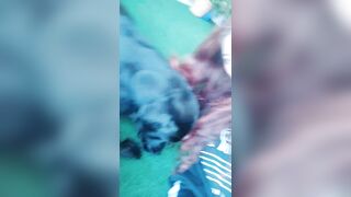 [825 of 3935 Vids] Bree Louise (bree_louisexoxo aka breebbydance) OnlyFans Leaks Nude