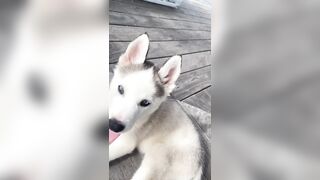 [833 of 3935 Vids] Bree Louise (bree_louisexoxo aka breebbydance) OnlyFans Leaks Nude