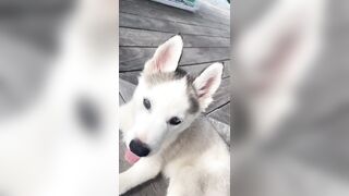 [833 of 3935 Vids] Bree Louise (bree_louisexoxo aka breebbydance) OnlyFans Leaks Nude