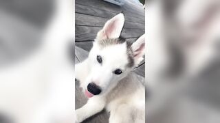 [833 of 3935 Vids] Bree Louise (bree_louisexoxo aka breebbydance) OnlyFans Leaks Nude