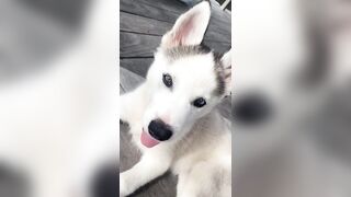 [833 of 3935 Vids] Bree Louise (bree_louisexoxo aka breebbydance) OnlyFans Leaks Nude