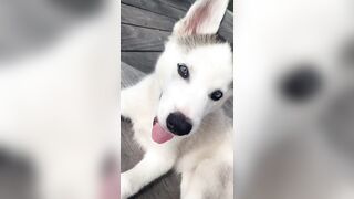 [833 of 3935 Vids] Bree Louise (bree_louisexoxo aka breebbydance) OnlyFans Leaks Nude