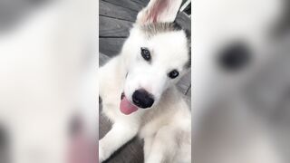 [833 of 3935 Vids] Bree Louise (bree_louisexoxo aka breebbydance) OnlyFans Leaks Nude