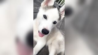 [833 of 3935 Vids] Bree Louise (bree_louisexoxo aka breebbydance) OnlyFans Leaks Nude