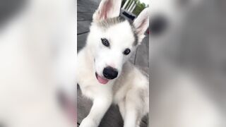 [833 of 3935 Vids] Bree Louise (bree_louisexoxo aka breebbydance) OnlyFans Leaks Nude