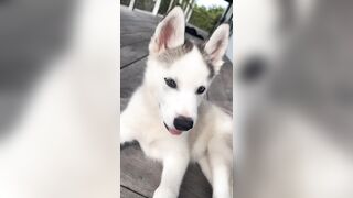 [833 of 3935 Vids] Bree Louise (bree_louisexoxo aka breebbydance) OnlyFans Leaks Nude