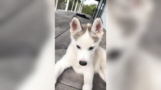 [833 of 3935 Vids] Bree Louise (bree_louisexoxo aka breebbydance) OnlyFans Leaks Nude