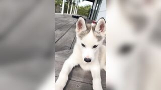 [833 of 3935 Vids] Bree Louise (bree_louisexoxo aka breebbydance) OnlyFans Leaks Nude