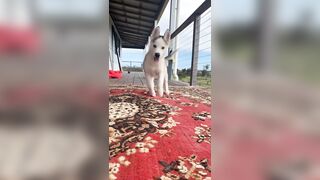 [833 of 3935 Vids] Bree Louise (bree_louisexoxo aka breebbydance) OnlyFans Leaks Nude