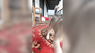 [833 of 3935 Vids] Bree Louise (bree_louisexoxo aka breebbydance) OnlyFans Leaks Nude