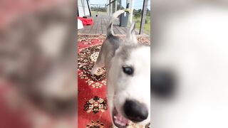 [833 of 3935 Vids] Bree Louise (bree_louisexoxo aka breebbydance) OnlyFans Leaks Nude