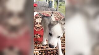 [833 of 3935 Vids] Bree Louise (bree_louisexoxo aka breebbydance) OnlyFans Leaks Nude