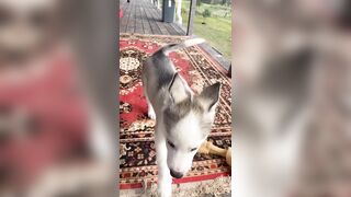 [833 of 3935 Vids] Bree Louise (bree_louisexoxo aka breebbydance) OnlyFans Leaks Nude