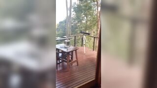 [857 of 3935 Vids] Bree Louise (bree_louisexoxo aka breebbydance) OnlyFans Leaks Nude