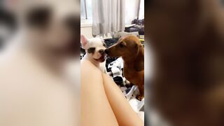 [912 of 3935 Vids] Bree Louise (bree_louisexoxo aka breebbydance) OnlyFans Leaks Nude