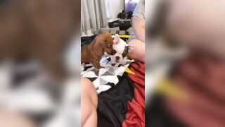 [912 of 3935 Vids] Bree Louise (bree_louisexoxo aka breebbydance) OnlyFans Leaks Nude