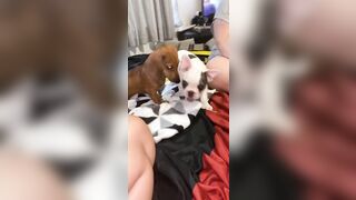 [912 of 3935 Vids] Bree Louise (bree_louisexoxo aka breebbydance) OnlyFans Leaks Nude