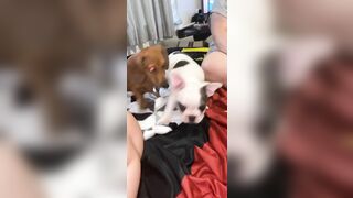 [912 of 3935 Vids] Bree Louise (bree_louisexoxo aka breebbydance) OnlyFans Leaks Nude