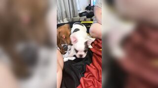 [912 of 3935 Vids] Bree Louise (bree_louisexoxo aka breebbydance) OnlyFans Leaks Nude