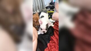 [912 of 3935 Vids] Bree Louise (bree_louisexoxo aka breebbydance) OnlyFans Leaks Nude