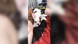 [912 of 3935 Vids] Bree Louise (bree_louisexoxo aka breebbydance) OnlyFans Leaks Nude