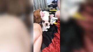 [912 of 3935 Vids] Bree Louise (bree_louisexoxo aka breebbydance) OnlyFans Leaks Nude