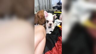 [912 of 3935 Vids] Bree Louise (bree_louisexoxo aka breebbydance) OnlyFans Leaks Nude