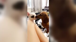 [912 of 3935 Vids] Bree Louise (bree_louisexoxo aka breebbydance) OnlyFans Leaks Nude