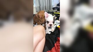 [912 of 3935 Vids] Bree Louise (bree_louisexoxo aka breebbydance) OnlyFans Leaks Nude