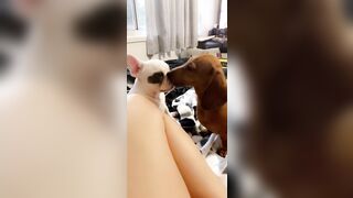 [912 of 3935 Vids] Bree Louise (bree_louisexoxo aka breebbydance) OnlyFans Leaks Nude