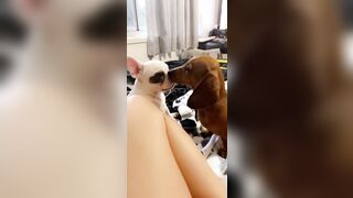 [912 of 3935 Vids] Bree Louise (bree_louisexoxo aka breebbydance) OnlyFans Leaks Nude