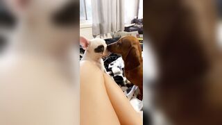 [912 of 3935 Vids] Bree Louise (bree_louisexoxo aka breebbydance) OnlyFans Leaks Nude