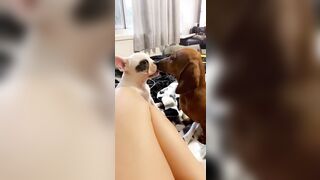 [912 of 3935 Vids] Bree Louise (bree_louisexoxo aka breebbydance) OnlyFans Leaks Nude