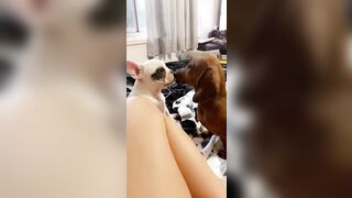 [912 of 3935 Vids] Bree Louise (bree_louisexoxo aka breebbydance) OnlyFans Leaks Nude