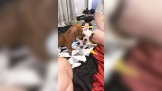 [912 of 3935 Vids] Bree Louise (bree_louisexoxo aka breebbydance) OnlyFans Leaks Nude