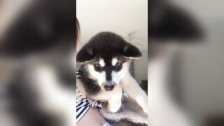 [948 of 3935 Vids] Bree Louise (bree_louisexoxo aka breebbydance) OnlyFans Leaks Nude