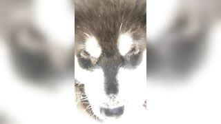 [948 of 3935 Vids] Bree Louise (bree_louisexoxo aka breebbydance) OnlyFans Leaks Nude