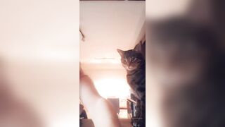 [170 of 432 Vids] Missbellaromano (Miss Bella Romano) OnlyFans Leaks Nude Naughty