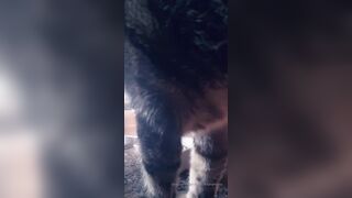 [170 of 432 Vids] Missbellaromano (Miss Bella Romano) OnlyFans Leaks Nude Naughty