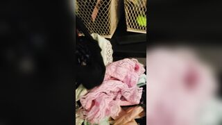 [69 of 142 Vids] Chestnuutt1 (Slutnut Chestnut) OnlyFans Leaks Nude Squirt Princess