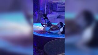 [14 of 221 Vids] Aettaoceanxxxx (ALETTA OCEAN) OnlyFans Leaks Nude