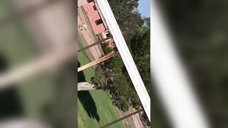 Squirting at the Park - Allipark22 (Allison Parker) OnlyFans Leaks Nude