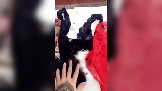 [259 of 771 Vids] Victorialombatv (Victoria Lomba) OnlyFans Leaks Nude