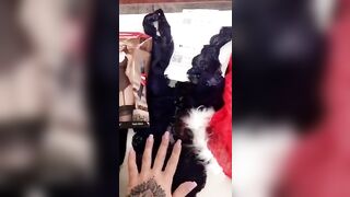 [259 of 771 Vids] Victorialombatv (Victoria Lomba) OnlyFans Leaks Nude