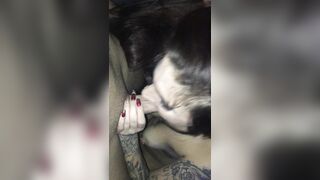 [206 of 336 Vids] Kaybooz (Throat Goat) OnlyFans Leaks Nude Blowjob Queen