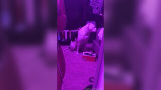 [146 of 430 Vids] Honeygold (Honey Gold aka honeygoldxx) OnlyFans Leaks Nude