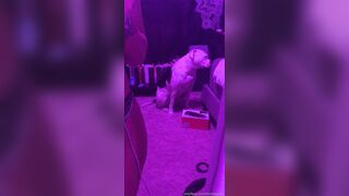 [146 of 430 Vids] Honeygold (Honey Gold aka honeygoldxx) OnlyFans Leaks Nude