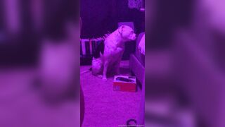 [146 of 430 Vids] Honeygold (Honey Gold aka honeygoldxx) OnlyFans Leaks Nude