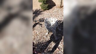 [189 of 430 Vids] Honeygold (Honey Gold aka honeygoldxx) OnlyFans Leaks Nude