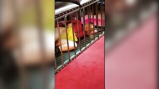 [335 of 430 Vids] Honeygold (Honey Gold aka honeygoldxx) OnlyFans Leaks Nude